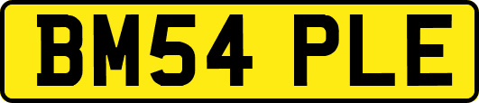 BM54PLE