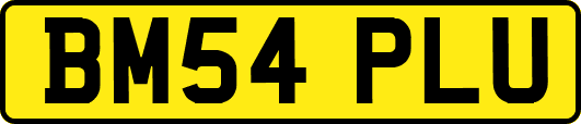 BM54PLU