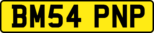 BM54PNP