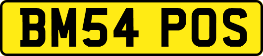 BM54POS