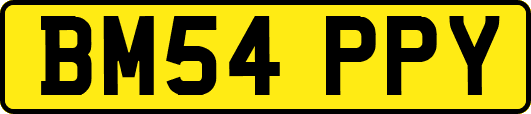 BM54PPY