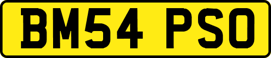 BM54PSO