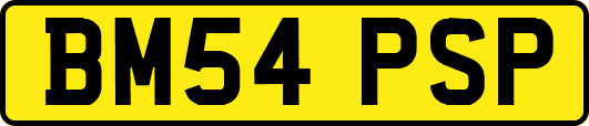 BM54PSP