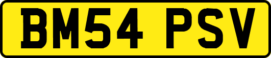 BM54PSV