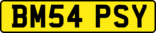 BM54PSY