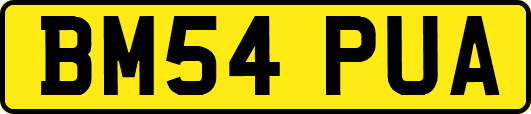 BM54PUA