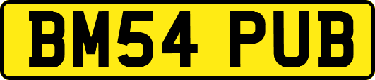 BM54PUB