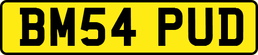 BM54PUD