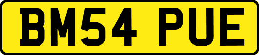 BM54PUE