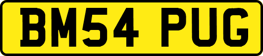 BM54PUG