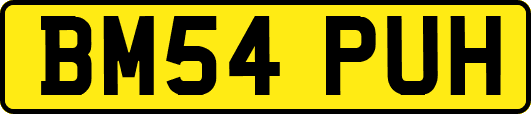 BM54PUH