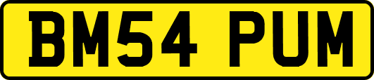 BM54PUM