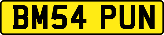 BM54PUN