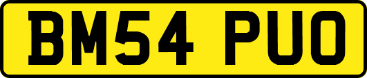 BM54PUO