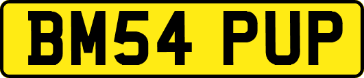 BM54PUP