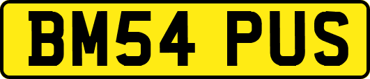 BM54PUS
