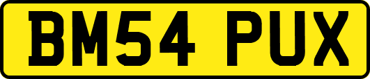 BM54PUX