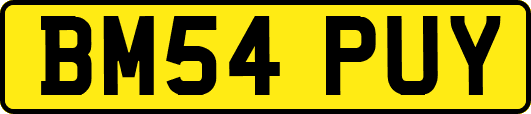 BM54PUY
