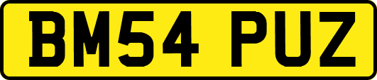 BM54PUZ
