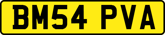 BM54PVA