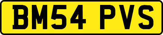 BM54PVS