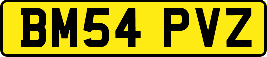 BM54PVZ