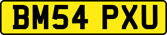 BM54PXU