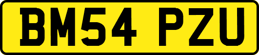 BM54PZU