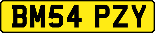 BM54PZY
