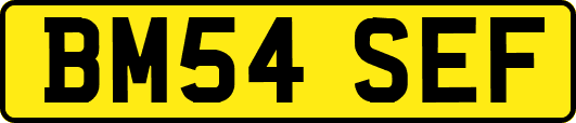 BM54SEF