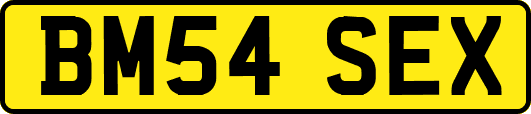 BM54SEX