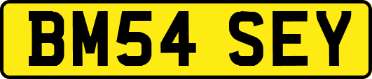 BM54SEY