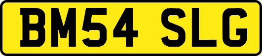BM54SLG