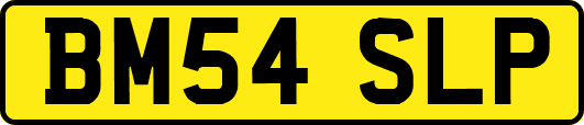 BM54SLP
