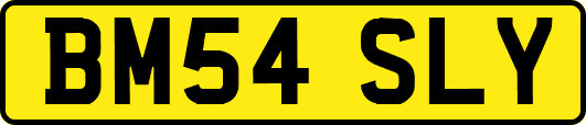 BM54SLY