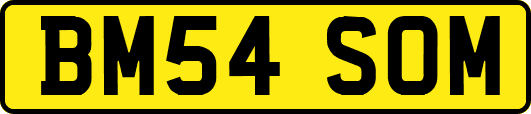 BM54SOM