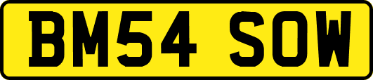 BM54SOW