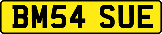 BM54SUE