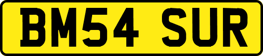 BM54SUR