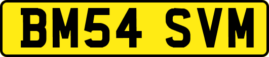 BM54SVM