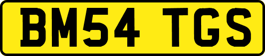 BM54TGS