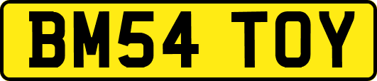 BM54TOY