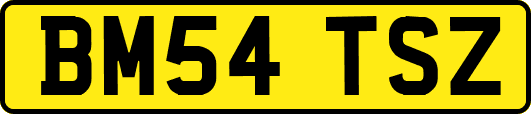 BM54TSZ