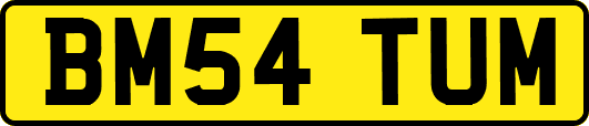 BM54TUM