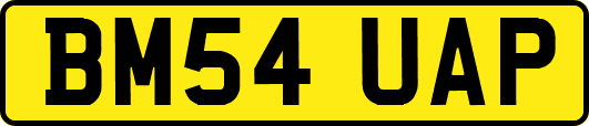 BM54UAP