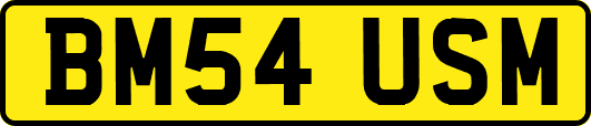 BM54USM