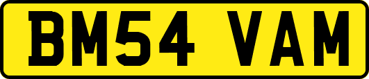 BM54VAM