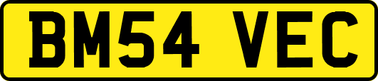 BM54VEC