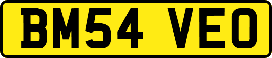 BM54VEO