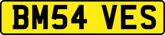 BM54VES